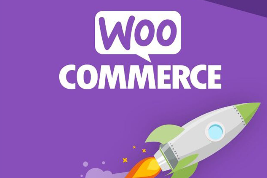 WooCommerce plugins wordpress ecommerce